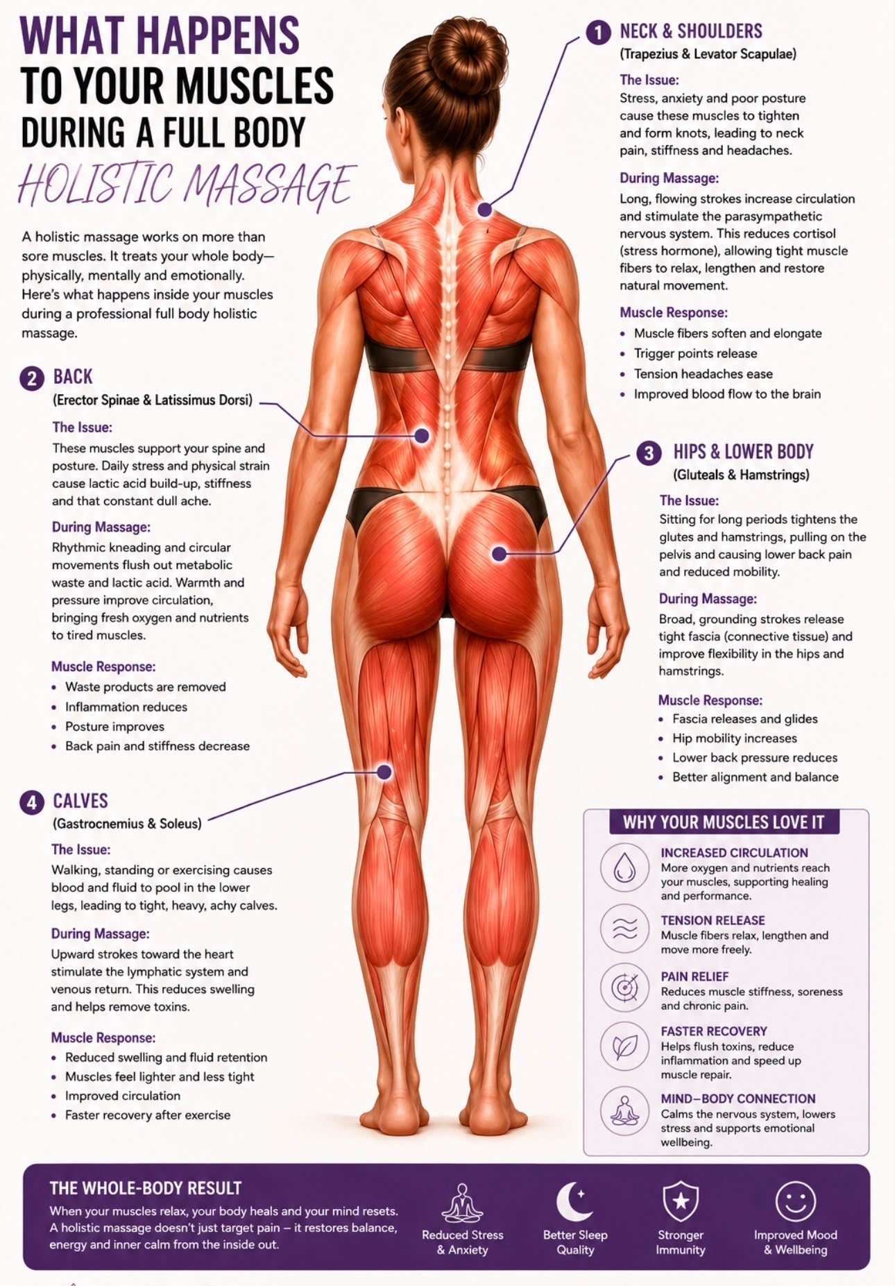 Image describing What Happens to Your Muscles During a Full Body Holistic Massage